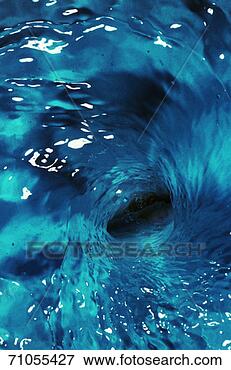 Picture - no caption available. 
fotosearch - search 
stock photos, 
pictures, images, 
and photo clipart