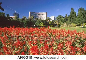 Stock Image - park in harare 
zimbabwe. fotosearch 
- search stock 
photos, pictures, 
images, and photo 
clipart