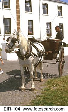 Stock Photo - pony and trap 
isle of aran eire. 
fotosearch - search 
stock photos, 
pictures, images, 
and photo clipart