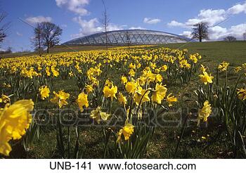 Stock Photography - national botanical 
gardens wales 
uk. fotosearch 
- search stock 
photos, pictures, 
images, and photo 
clipart