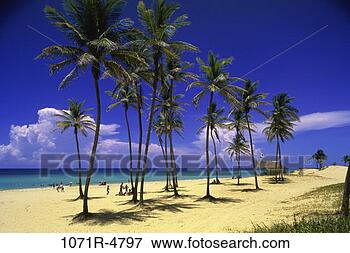 http://comps.fotosearch.com/comp/SPS/SPS003/playas-del-este_~1071R-4797.jpg