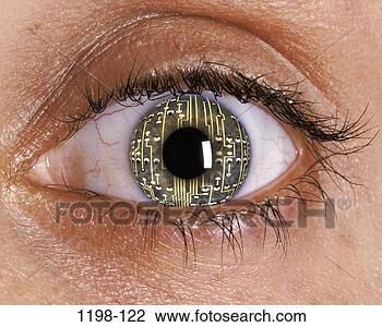 Banco de Imagem - olhos, tecnologia, robô, partes corpo, computadores, circuito, partes. Fotosearch - Busca de Fotografias, Impressões, Imagens, e Fotos Clip Art