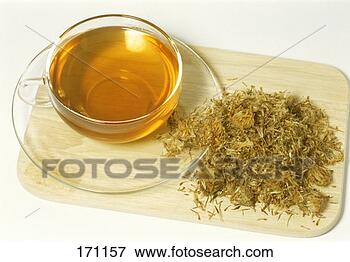 Dried+Arnica+Flowers Picture - Arnica tea and dried flowers (Arnica montana). Fotosearch ...