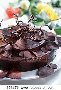 Stock Photo - chocolate gateau 
with chocolate 
leaves. fotosearch 
- search stock 
photos, pictures, 
images, and photo 
clipart