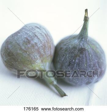 Stock Image - two figs. fotosearch 
- search stock 
photos, pictures, 
images, and photo 
clipart