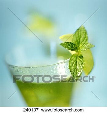 Picture - cocktail with 
mint and lime. 
fotosearch - search 
stock photos, 
pictures, images, 
and photo clipart