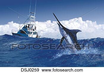 Stock Photograph - blue marlin jumping 
out of the water 
as a group of 
fisherman watch. 
fotosearch - search 
stock photos, 
pictures, images, 
and photo clipart