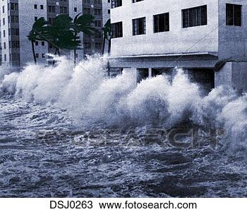 Stock Photo - hurricane winds 
and storm surge 
waves blow palm 
trees and crash 
into. fotosearch 
- search stock 
photos, pictures, 
images, and photo 
clipart