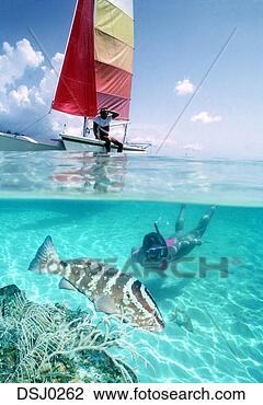 Stock Photo - partial underwater 
view of woman 
snorkeling in 
clear blue ocean 
with. fotosearch 
- search stock 
photos, pictures, 
images, and photo 
clipart