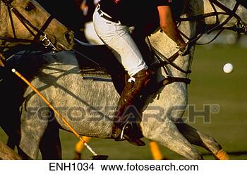 Stock Photo - polo player riding 
horse while hitting 
ball during polo 
game. fotosearch 
- search stock 
photos, pictures, 
images, and photo 
clipart