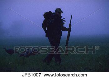 Picture - turkey hunter 
in morning mist 
walking past his 
decoys with a 
turkey. fotosearch 
- search stock 
photos, pictures, 
images, and photo 
clipart