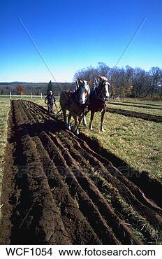 Stock Photo - farmer with horse 
team pulling plow 
through fields. 
fotosearch - search 
stock photos, 
pictures, images, 
and photo clipart