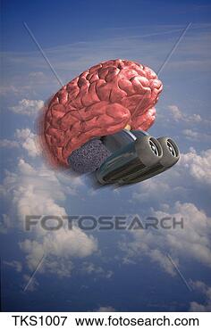 Picture - a human brain 
propelled through 
the sky and clouds 
by jet engines. 
fotosearch - search 
stock photos, 
pictures, images, 
and photo clipart