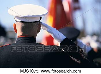 Stock Image - rear view of head 
and shoulders 
of saluting us 
marine in dress. 
fotosearch - search 
stock photos, 
pictures, images, 
and photo clipart