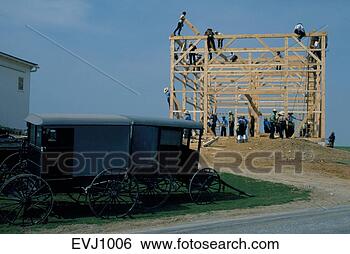 Stock Photo - horse-drawn carriages 
parked in front 
of amish barn 
raising. fotosearch 
- search stock 
photos, pictures, 
images, and photo 
clipart