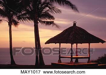 Picture - a traditional 
platform and palm 
trees overlook 
the sea at le 
meridien. fotosearch 
- search stock 
photos, pictures, 
images, and photo 
clipart