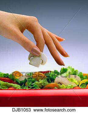 Banque de Photo - womans, main, 
cueillette, champignon, 
dehors, salade, 
bol. fotosearch 
- recherchez des 
photos, des images 
et des cliparts