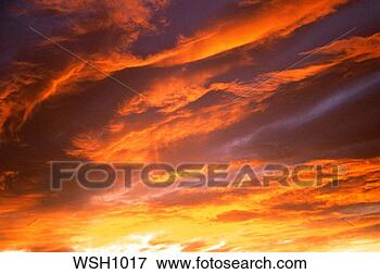 Picture - clouds reflect 
the yellows, oranges 
and purples of 
a colorful sunset. 
fotosearch - search 
stock photos, 
pictures, images, 
and photo clipart