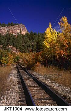 Stock Photo - railroad tracks 
disappear into 
fall foliage, 
 san juan national. 
fotosearch - search 
stock photos, 
pictures, images, 
and photo clipart