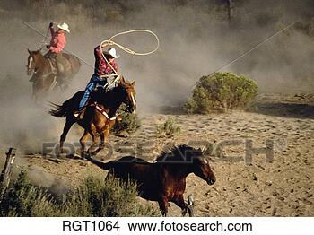 Stock Photo - wranglers on horseback 
chasing horses. 
fotosearch - search 
stock photos, 
pictures, images, 
and photo clipart