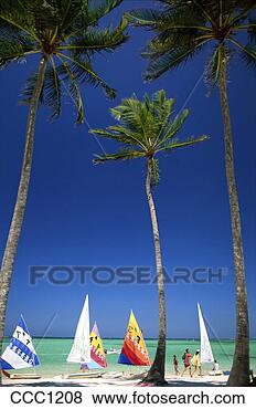 Stock Photo - dominican republic 
punta cana beach 
palm trees and 
sailboats. fotosearch 
- search stock 
photos, pictures, 
images, and photo 
clipart