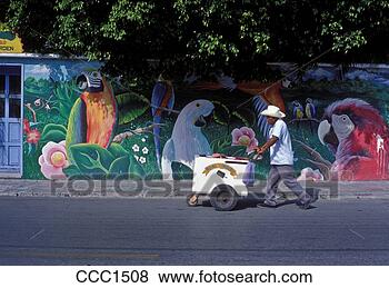 Stock Photo - mexico cozumel 
ice cream vendor 
pushing cart in 
front of tropical. 
fotosearch - search 
stock photos, 
pictures, images, 
and photo clipart