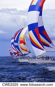 Stock Image - pack of sailboats 
racing with spinnakers 
flying. fotosearch 
- search stock 
photos, pictures, 
images, and photo 
clipart