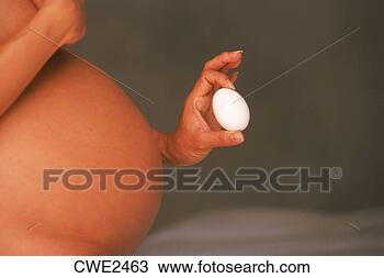 Stock Photo - pregnant woman 
in 8th month with 
chicken egg. fotosearch 
- search stock 
photos, pictures, 
images, and photo 
clipart