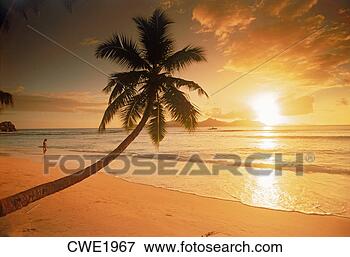 Picture - sunset at anse 
severe on la digue 
with praslin island 
in distance. fotosearch 
- search stock 
photos, pictures, 
images, and photo 
clipart