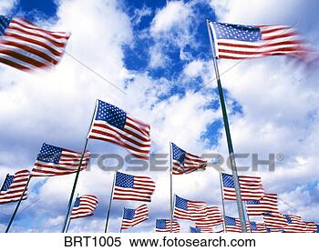 Stock Image - group of american 
flags on flagpoles 
blow in the wind, 
 sharon. fotosearch 
- search stock 
photos, pictures, 
images, and photo 
clipart