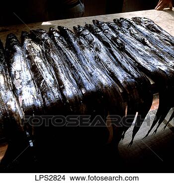 Stock Photo - 19 sgm square 
portugal madeira 
island funchalmercado 
dos lavradores. 
fotosearch - search 
stock photos, 
pictures, images, 
and photo clipart