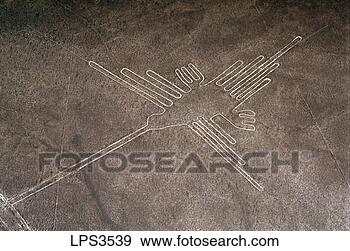 Stock Photograph - 21 peru nazca 
lines aerial of 
the drawing of 
a hummingbird. 
fotosearch - search 
stock photos, 
pictures, images, 
and photo clipart