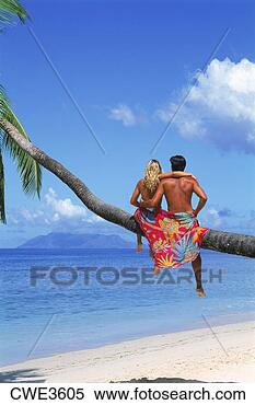 Stock Image - colorful cloth 
wrapped around 
couple on palm 
tree on mahe island 
in. fotosearch 
- search stock 
photos, pictures, 
images, and photo 
clipart