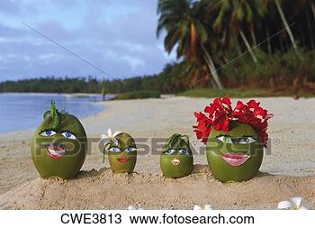 Stock Photo - family of four 
happy nuts on 
island holiday 
in south pacific. 
fotosearch - search 
stock photos, 
pictures, images, 
and photo clipart