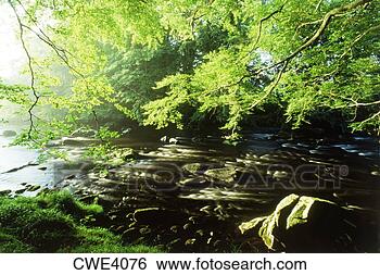 Stock Photo - deveron river 
and foliage in 
sunset light near 
huntly castle 
in. fotosearch 
- search stock 
photos, pictures, 
images, and photo 
clipart