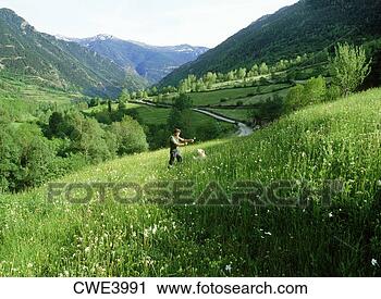 Stock Photography - sheep herdsman 
with dog at village 
of areu in spanish 
pyrenees near. 
fotosearch - search 
stock photos, 
pictures, images, 
and photo clipart