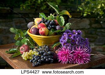 Picture - seasonal still 
life with an assortment 
of autumnal fruits 
in a yellow. fotosearch 
- search stock 
photos, pictures, 
images, and photo 
clipart