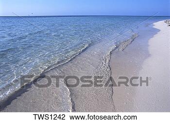 Stock Photo - crystal clear 
water along beach 
at bahia honda 
state park,  bahia. 
fotosearch - search 
stock photos, 
pictures, images, 
and photo clipart