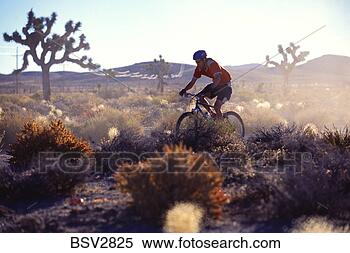 Stock Image - mountain biking 
past joshua trees 
in the dust in 
death valley. 
fotosearch - search 
stock photos, 
pictures, images, 
and photo clipart