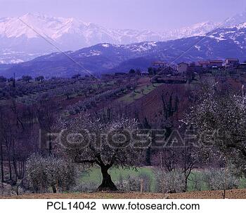 Stock Photo - abruzzo, gran 
sasso d'italia. 
fotosearch - search 
stock photos, 
pictures, images, 
and photo clipart