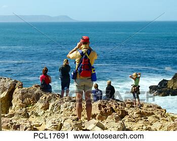 Stock Photography - agulhas, hermanus 
whale watchers. 
fotosearch - search 
stock photos, 
pictures, images, 
and photo clipart