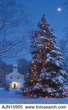 Stock Image - christmas tree, 
 moon,  outdoor, 
 decoration,  
holiday,  tree, 
 snow. fotosearch 
- search stock 
photos, pictures, 
images, and photo 
clipart