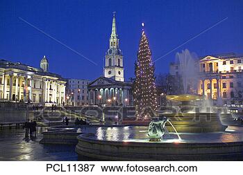 Picture - london, trafalgar 
square, xmas tree. 
fotosearch - search 
stock photos, 
pictures, images, 
and photo clipart