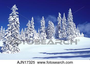 Stock Image - snow,  trees, 
 switzerland, 
 vaud,  jura mountains, 
 europe. fotosearch 
- search stock 
photos, pictures, 
images, and photo 
clipart
