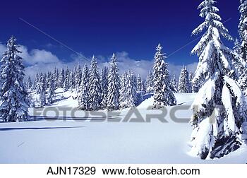 Stock Photograph - snow,  trees, 
 switzerland, 
 vaud,  jura mountains, 
 europe. fotosearch 
- search stock 
photos, pictures, 
images, and photo 
clipart