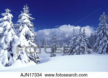 Stock Photo - snow,  trees, 
 switzerland, 
 vaud,  jura mountains, 
 europe. fotosearch 
- search stock 
photos, pictures, 
images, and photo 
clipart