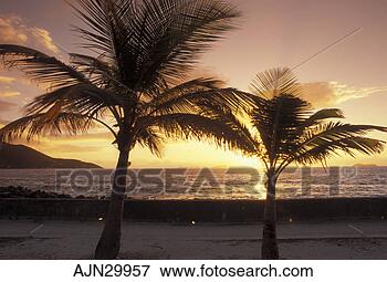 sunrise-caribbean-tortola_~AJN29957.jpg