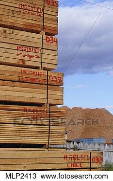 Stock Photo - lumber and a mountain 
of woodchips bound 
for japan,  puerto 
montt. fotosearch 
- search stock 
photos, pictures, 
images, and photo 
clipart