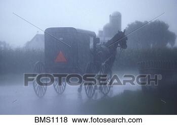  - amish-buggy-rain_~BMS1118