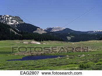 Picture - pond in the valley 
at weminuche creek 
on the continental 
divide - rio. 
fotosearch - search 
stock photos, 
pictures, images, 
and photo clipart
